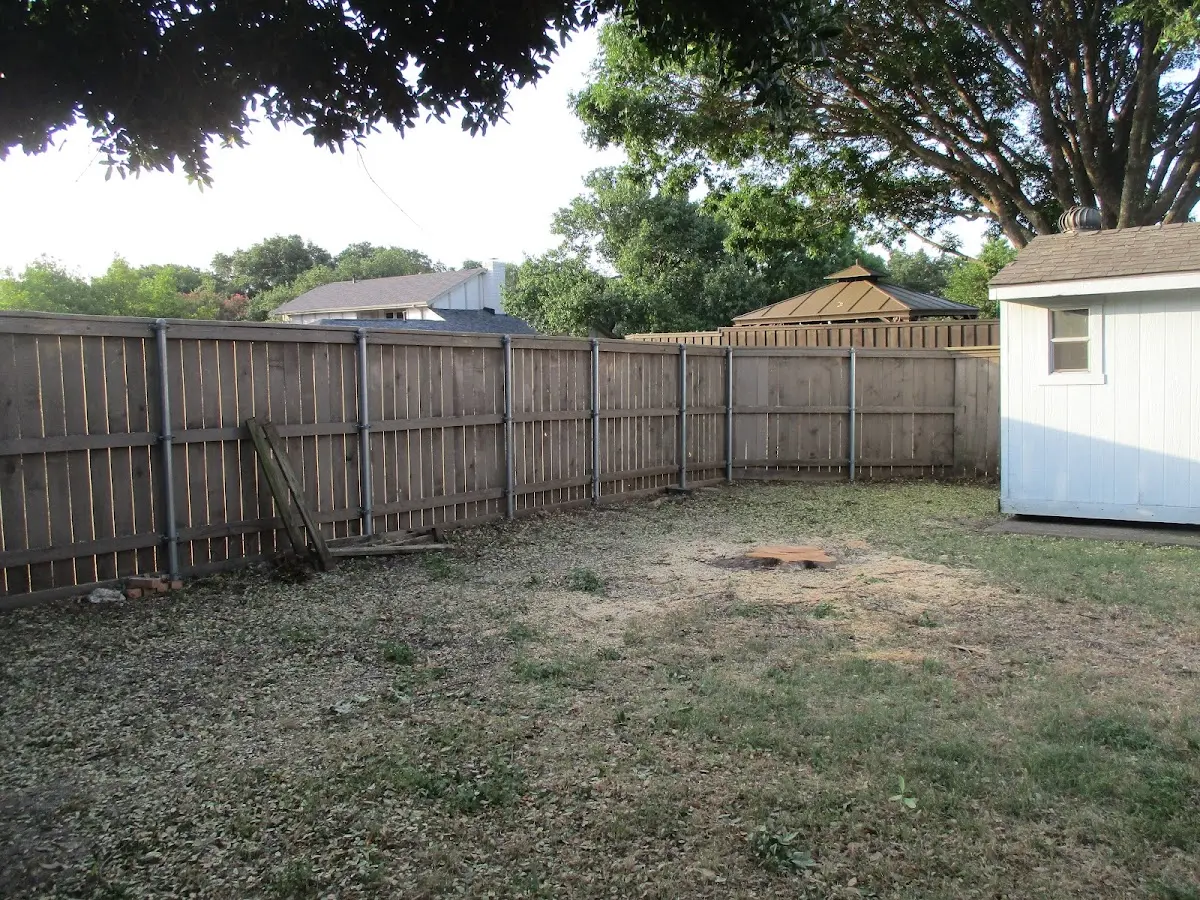 Cleared yard after professional tree removal in Cheyney